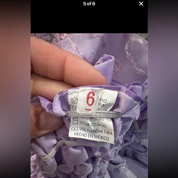 Custom princess dresses in a long sleeve and in color purple! Size 6 - Picture 2 of 16